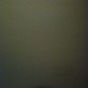 Meet your Posher, Pedro